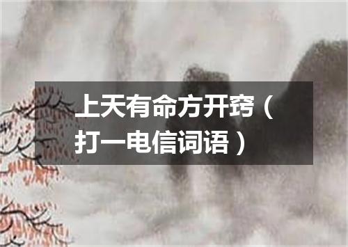 上天有命方开窍（打一电信词语）