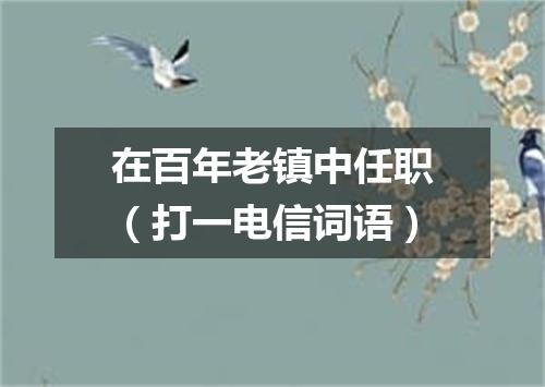 在百年老镇中任职（打一电信词语）