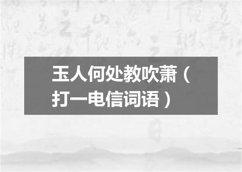 玉人何处教吹萧（打一电信词语）