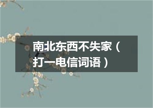 南北东西不失家（打一电信词语）
