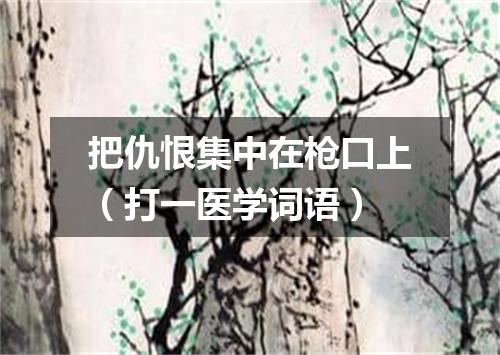把仇恨集中在枪口上（打一医学词语）