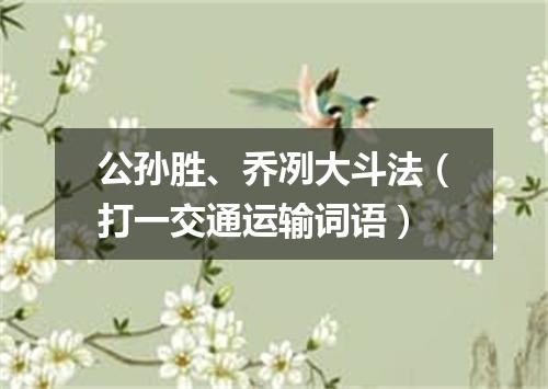 公孙胜、乔冽大斗法（打一交通运输词语）