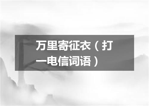 万里寄征衣（打一电信词语）