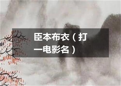臣本布衣（打一电影名）
