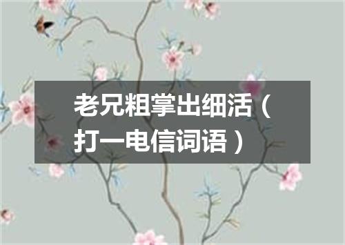 老兄粗掌出细活（打一电信词语）