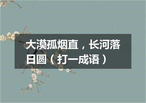 大漠孤烟直，长河落日圆（打一成语）