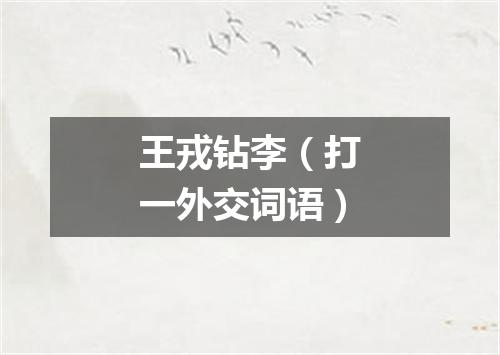 王戎钻李（打一外交词语）