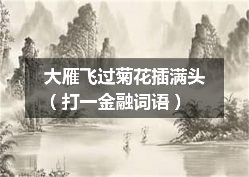 大雁飞过菊花插满头（打一金融词语）