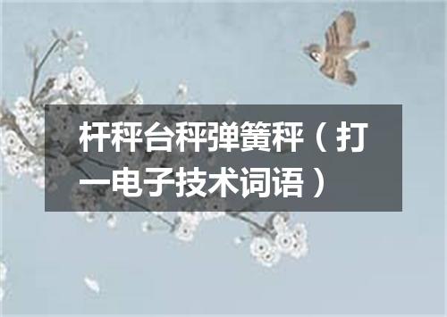 杆秤台秤弹簧秤（打一电子技术词语）