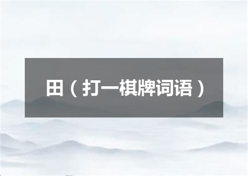 田（打一棋牌词语）
