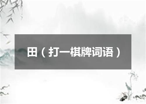田（打一棋牌词语）