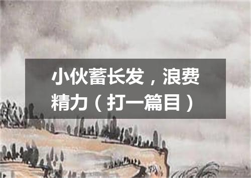 小伙蓄长发，浪费精力（打一篇目）