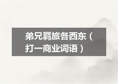 弟兄羁旅各西东（打一商业词语）