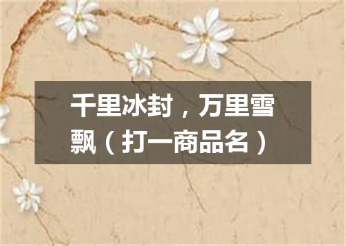 千里冰封，万里雪飘（打一商品名）