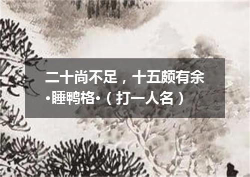 二十尚不足，十五颇有余·睡鸭格·（打一人名）