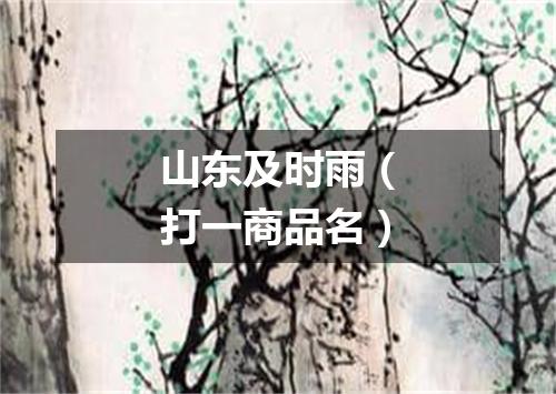 山东及时雨（打一商品名）