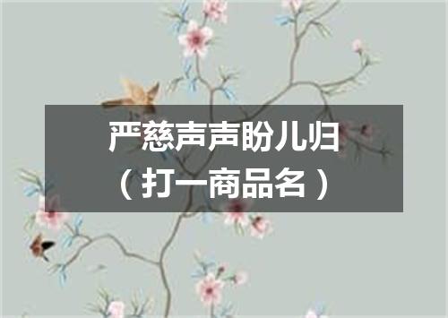 严慈声声盼儿归（打一商品名）
