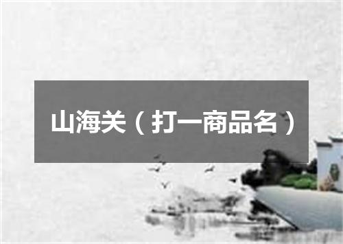 山海关（打一商品名）