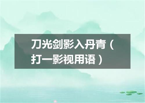 刀光剑影入丹青（打一影视用语）