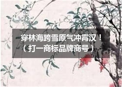 穿林海跨雪原气冲霄汉！（打一商标品牌商号）