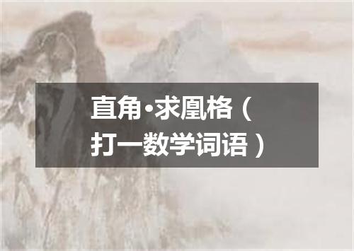 直角·求凰格（打一数学词语）