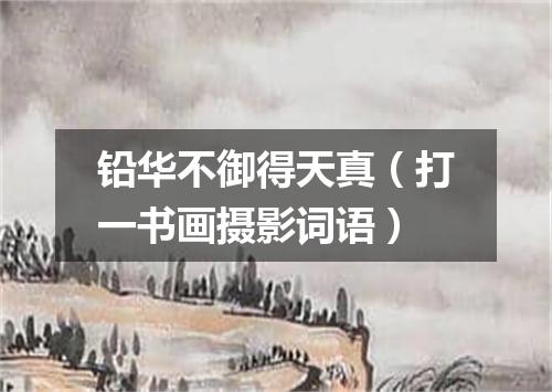 铅华不御得天真（打一书画摄影词语）