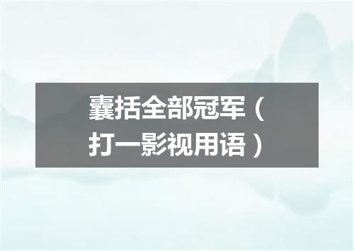 囊括全部冠军（打一影视用语）