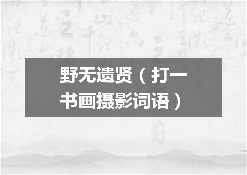 野无遗贤（打一书画摄影词语）
