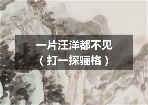 一片汪洋都不见（打一探骊格）