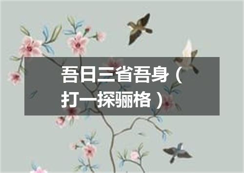 吾日三省吾身（打一探骊格）