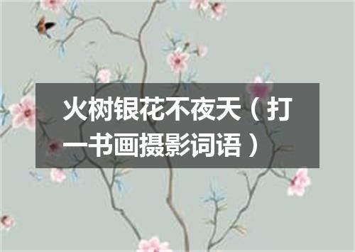 火树银花不夜天（打一书画摄影词语）