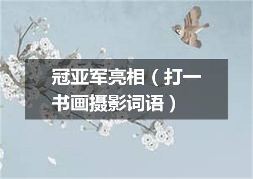 冠亚军亮相（打一书画摄影词语）