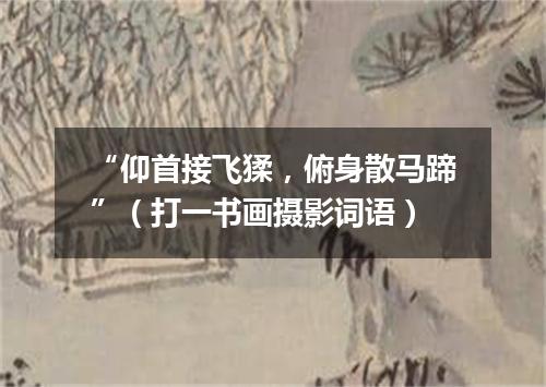 “仰首接飞猱，俯身散马蹄”（打一书画摄影词语）