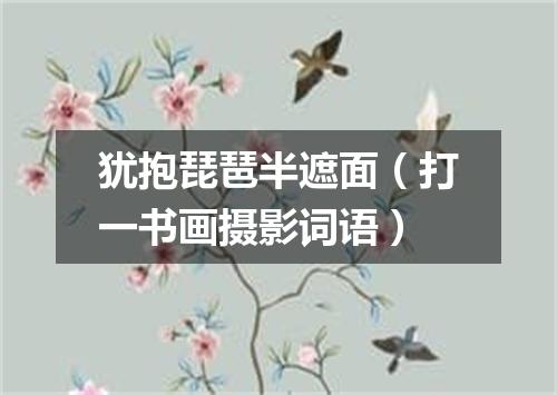 犹抱琵琶半遮面（打一书画摄影词语）