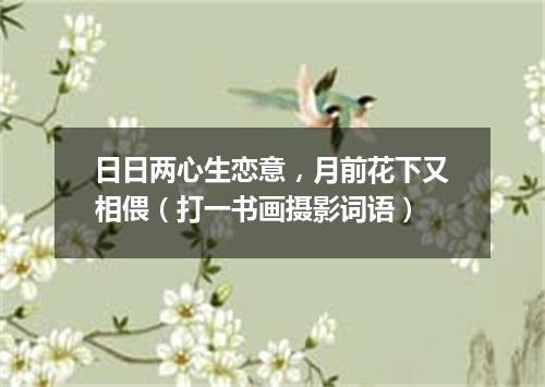 日日两心生恋意，月前花下又相偎（打一书画摄影词语）