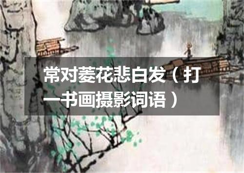 常对菱花悲白发（打一书画摄影词语）