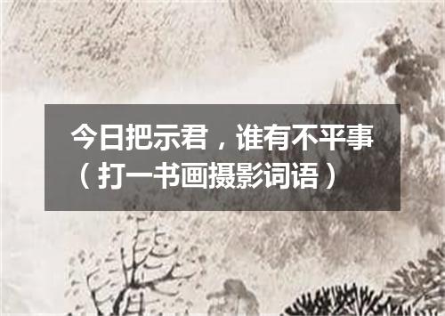 今日把示君，谁有不平事（打一书画摄影词语）