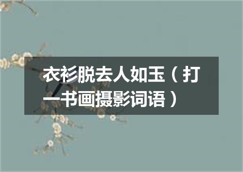衣衫脱去人如玉（打一书画摄影词语）
