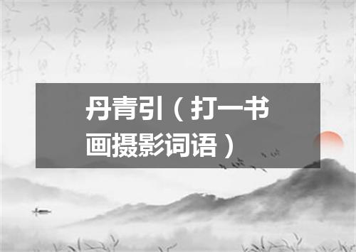 丹青引（打一书画摄影词语）