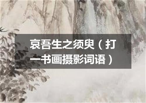 哀吾生之须臾（打一书画摄影词语）