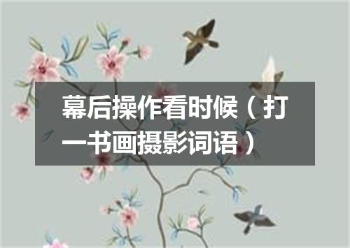 幕后操作看时候（打一书画摄影词语）