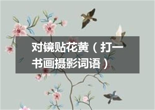 对镜贴花黄（打一书画摄影词语）