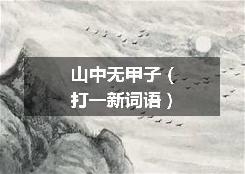 山中无甲子（打一新词语）