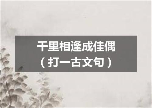 千里相逢成佳偶（打一古文句）
