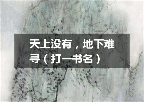 天上没有，地下难寻（打一书名）