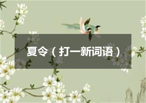 夏令（打一新词语）