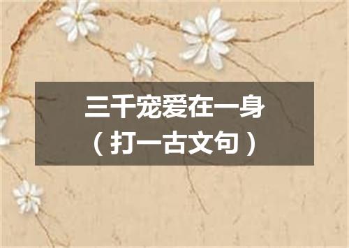 三千宠爱在一身（打一古文句）