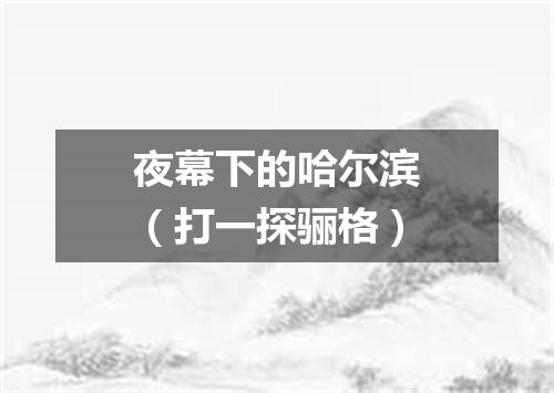 夜幕下的哈尔滨（打一探骊格）