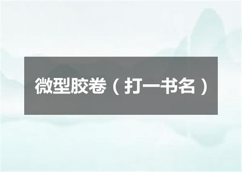 微型胶卷（打一书名）