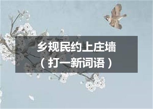 乡规民约上庄墙（打一新词语）